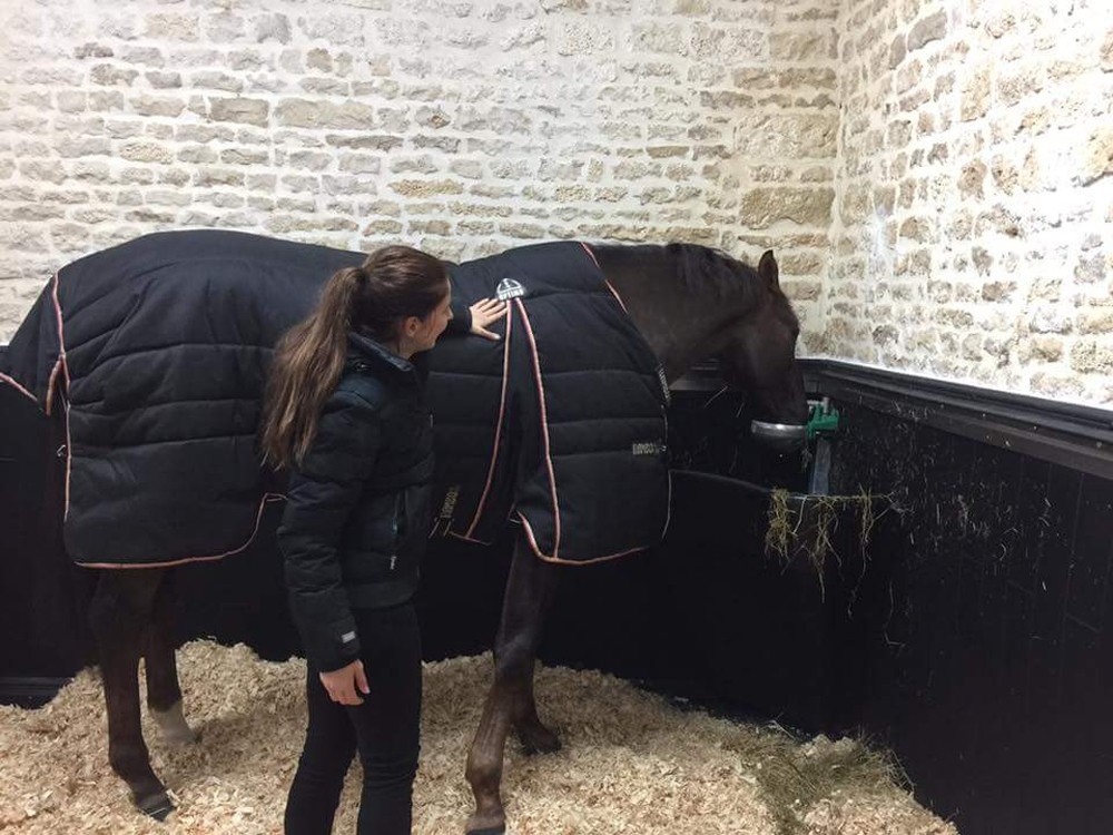 TAPIS CAOUTCHOUC box pour chevaux - Litière Cheval